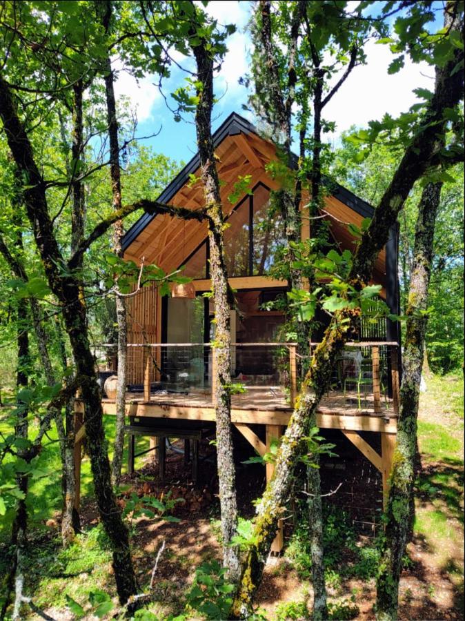 Wabi Sabi Lodge - Spa&Sauna Privatif - Foret Turenne Esterno foto